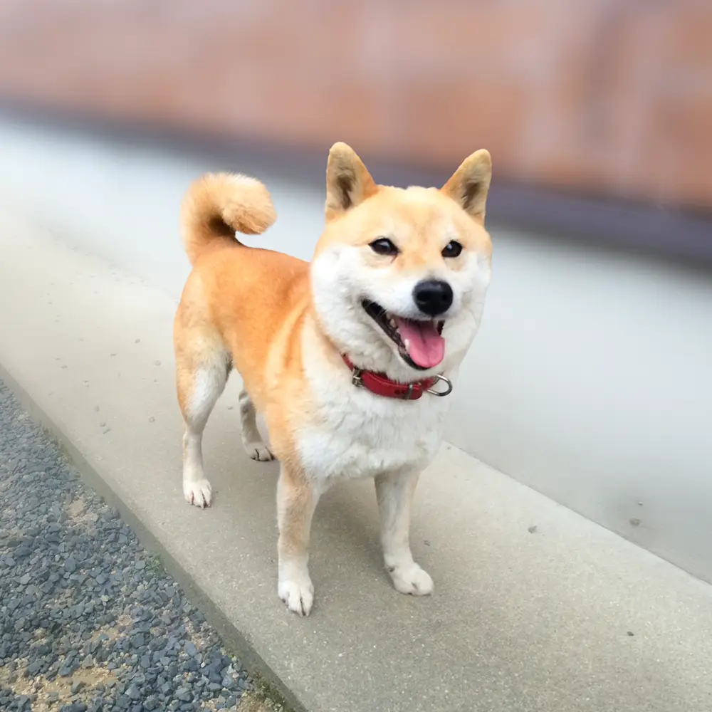 大切な家族との時間