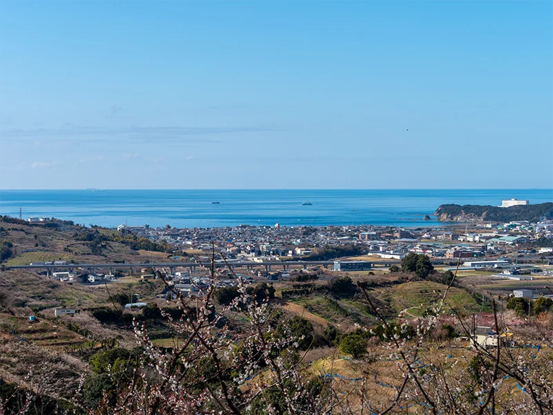 みなべ町の海や山などの自然をイメージした風景