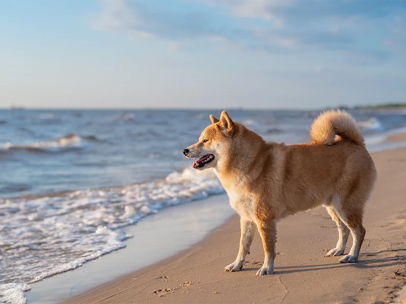 美しい海のイメージ