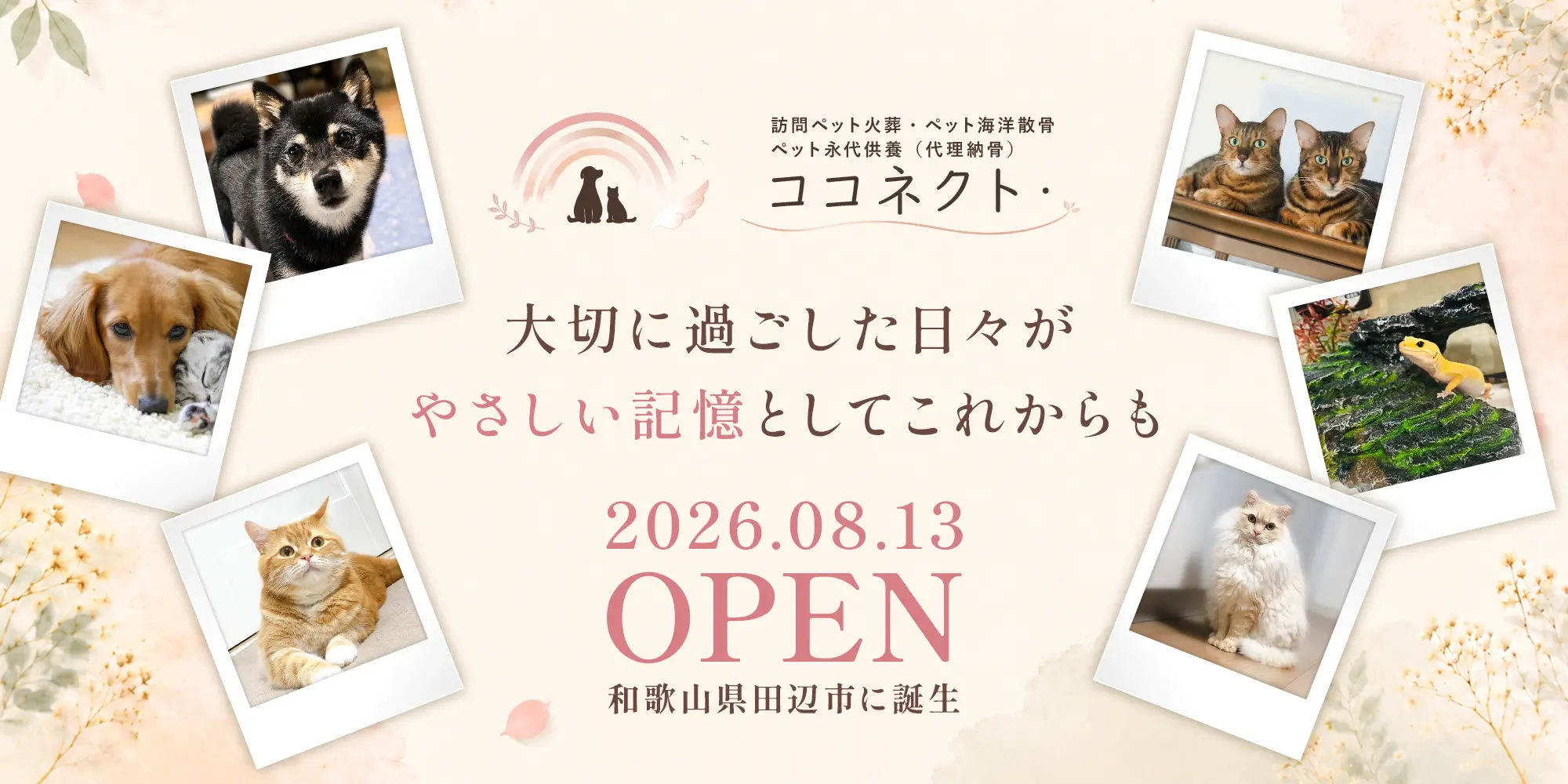 訪問ペット火葬
ペット海洋散骨・ペット永代供養/代理納骨 ココネクト・
