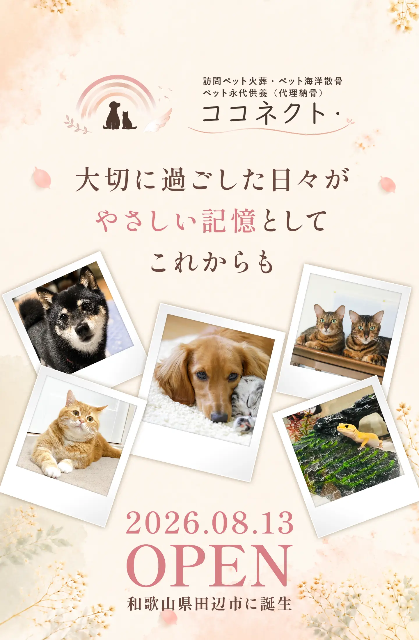訪問ペット火葬
ペット海洋散骨・ペット永代供養/代理納骨 ココネクト・